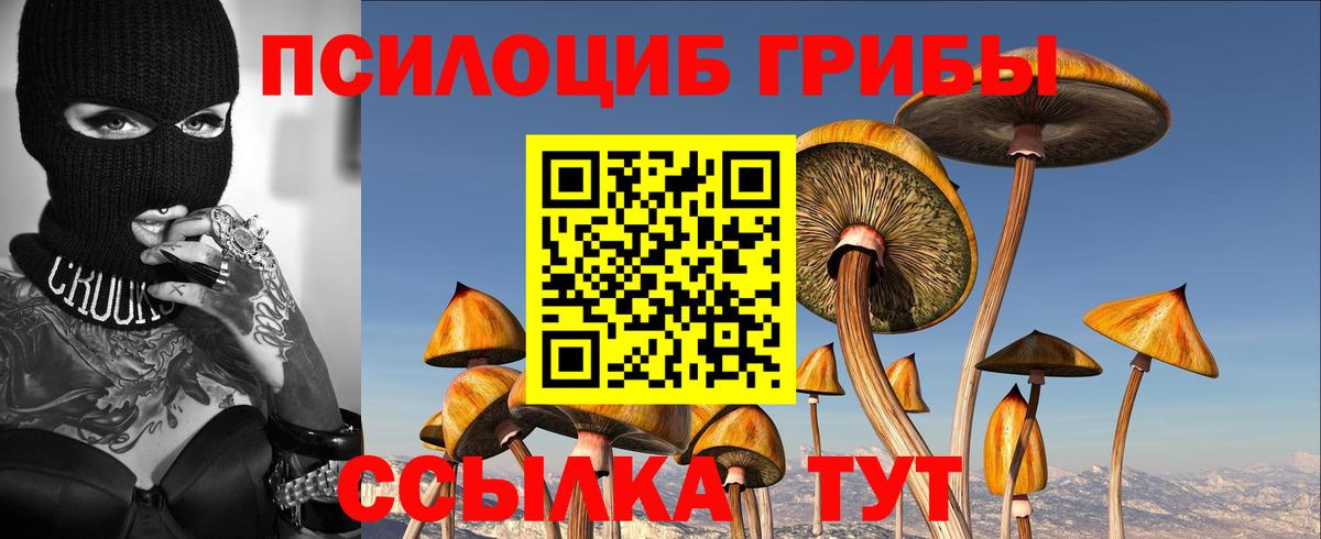 Холмск  Псилоцибиновые грибы GOLDEN TEACHER  Вход с VPN 